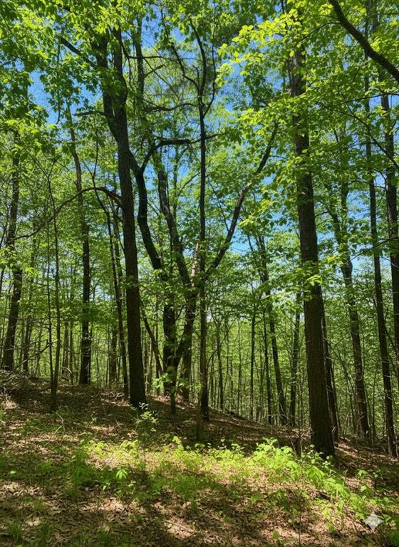 Land in Broken Bow 3