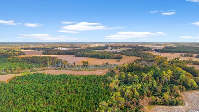 17 Arnette Rd., Home with 0 bedrooms, 0 bathrooms and null parking in Dillon SC | Image 17
