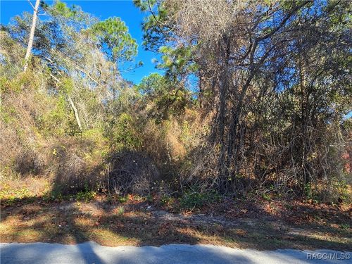 3257 E Kennedy St, Inverness, FL, 34453-9425 | Card Image