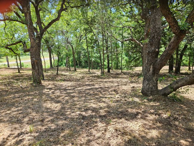 140 Rolling Bend Rd, Home with 0 bedrooms, 0 bathrooms and null parking in Alvord TX | Image 19