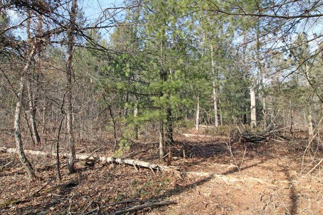 7750 Pine Rd, House other with 3 bedrooms, 2 bathrooms and null parking in ARENA WI | Image 51