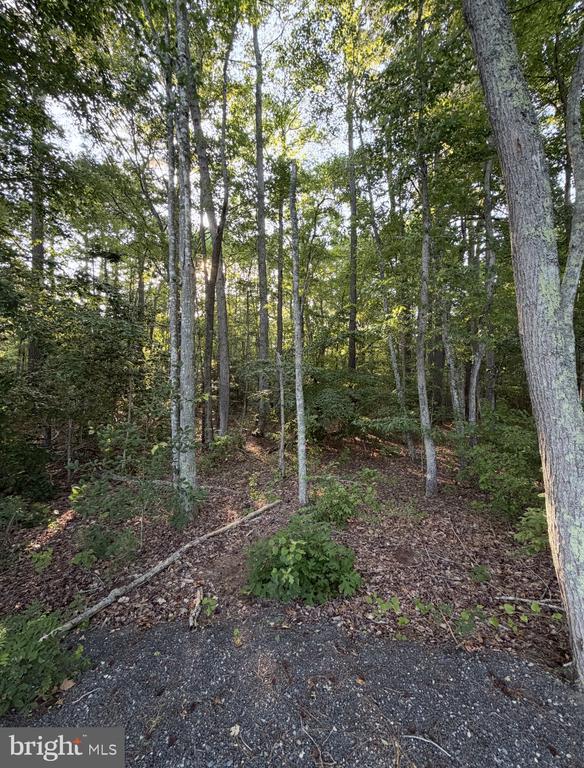 Land in PRINCESS ANNE 4