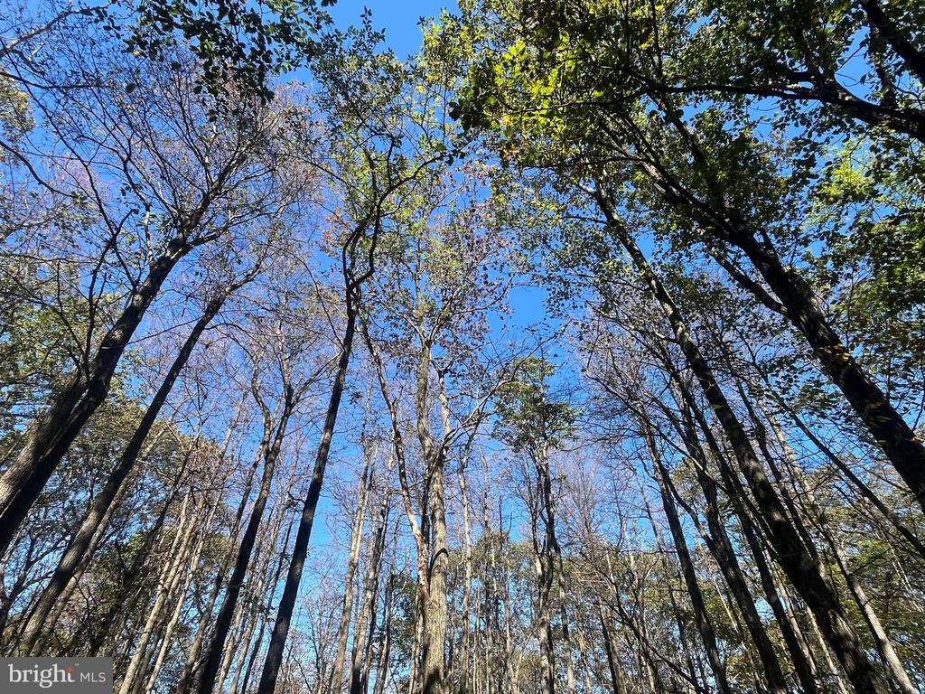 Land in CATAWISSA 5