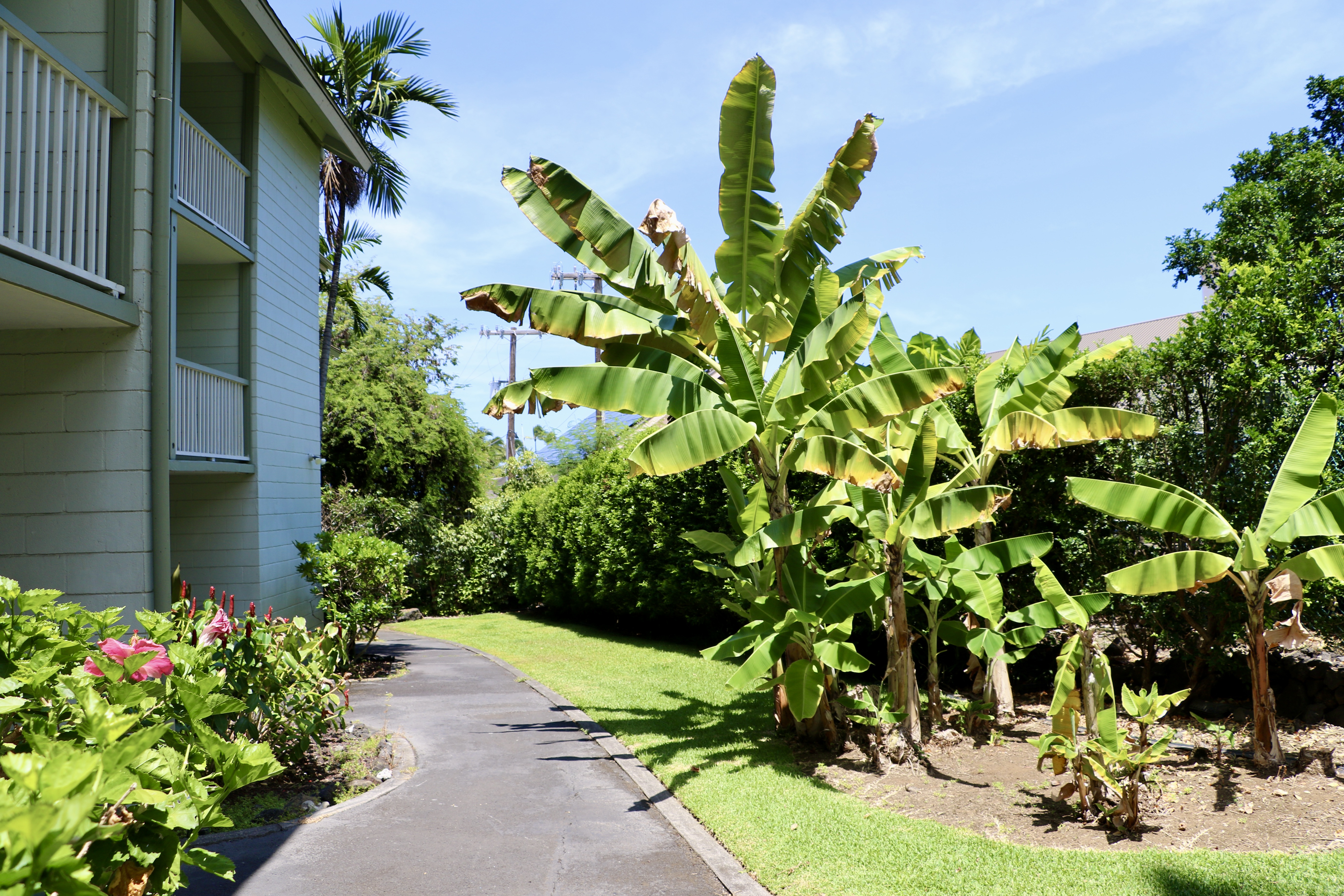 Residential in Kailua Kona