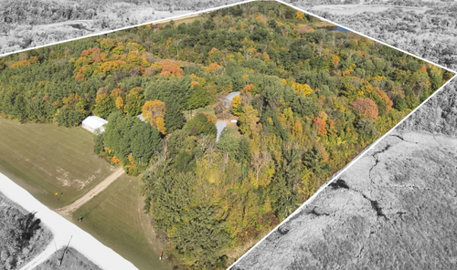 20103 350th St, Erhard, MN, 56534-9548 | Card Image