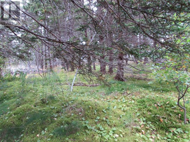 C - 54 C Point Rd, Home with 0 bedrooms, 0 bathrooms and null parking in Chapel Cove NL | Image 6