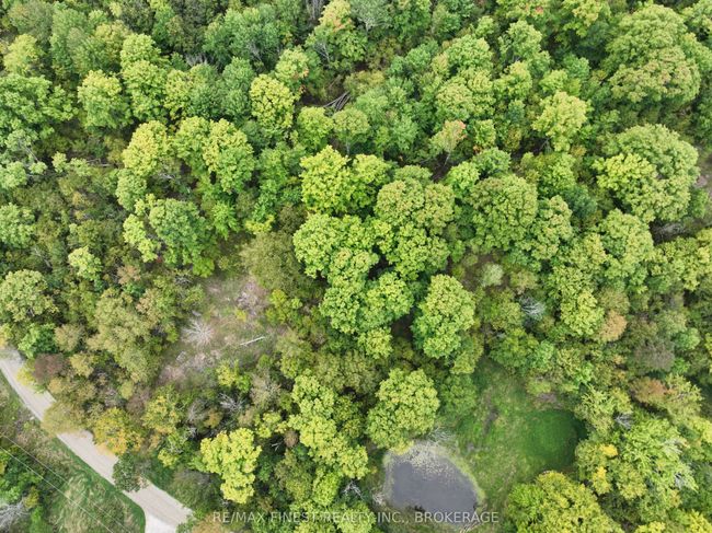 1147 Cronk Rd, Home with 0 bedrooms, 0 bathrooms and 4 parking in Parham ON | Image 30