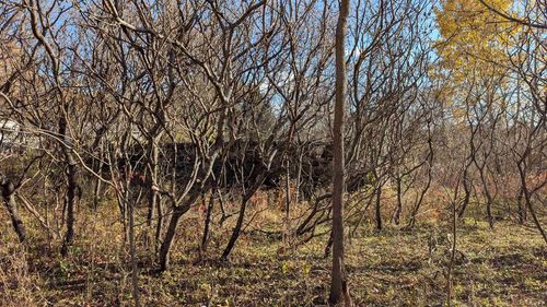 L17 Oak Rd, Markesan, WI, 53946 | Card Image