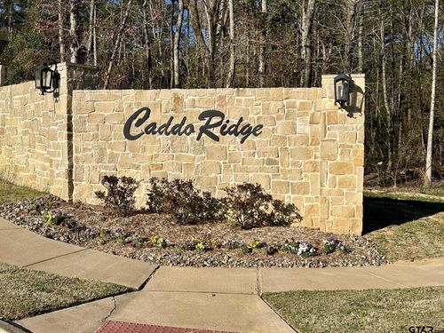 9291 Caddo Ridge Cv, Tyler, TX, 75703-6084 | Card Image