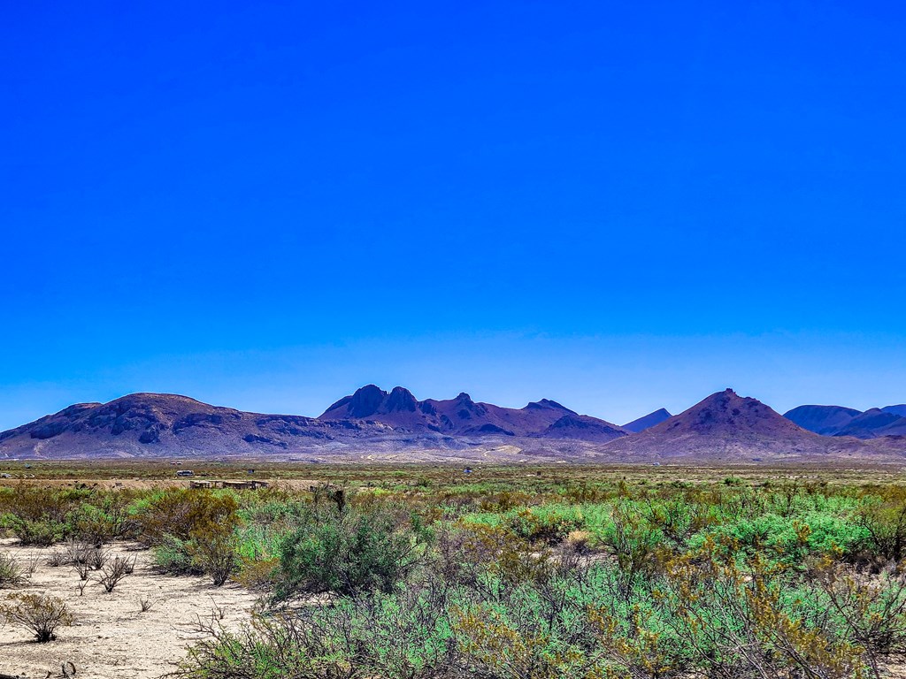 Land in Terlingua 4