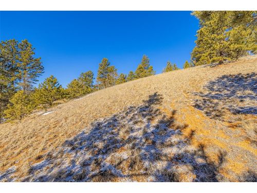 772 E Bison Creek Trl, Florissant, CO, 80816 | Card Image
