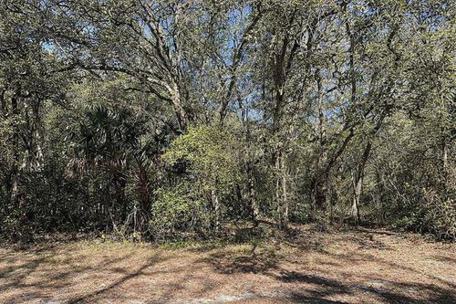 Lot 34, 35 block C 18th St, ORANGE CITY, FL, 32763 | Card Image
