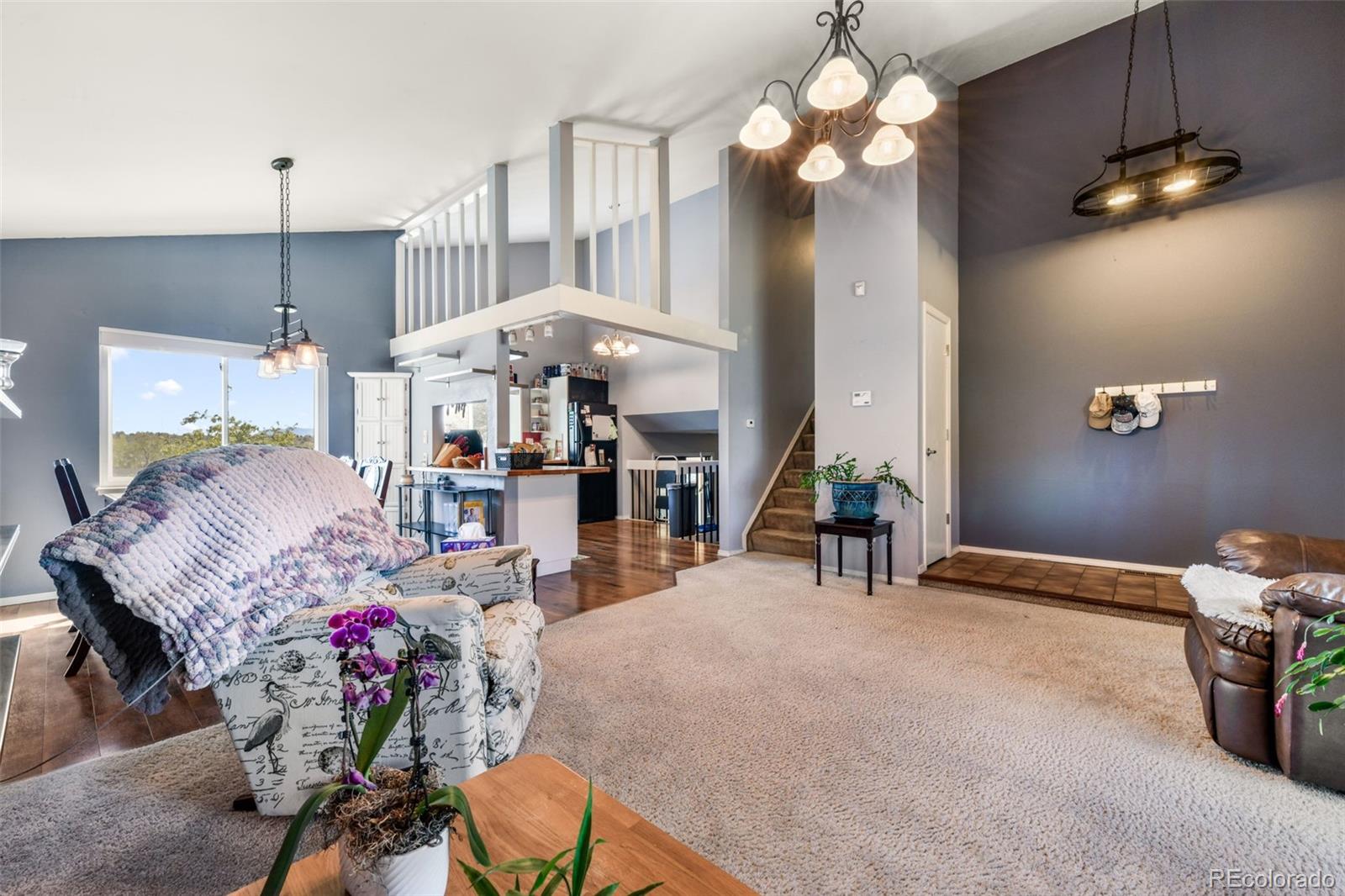 Residential in Colorado Springs 5
