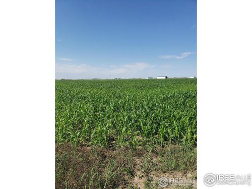 0 County Road 6, Wiggins, CO, 80654 | Card Image