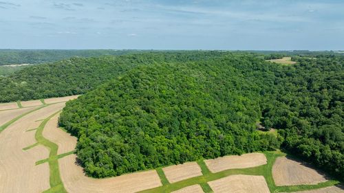 0 Tell Lake Road, Alma, WI, 54610 | Card Image