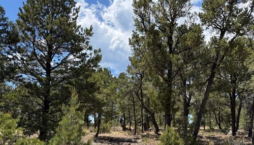 7 Dancing Hawk Dr, Pecos, NM, 87552 | Card Image