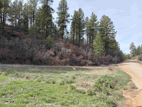 267 River Run Dr, Pagosa Springs, CO, 81147-7630 | Card Image