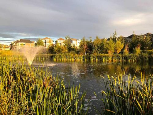 16 Auburn Springs Pk Se, Calgary, AB, T3M1Y4 | Card Image