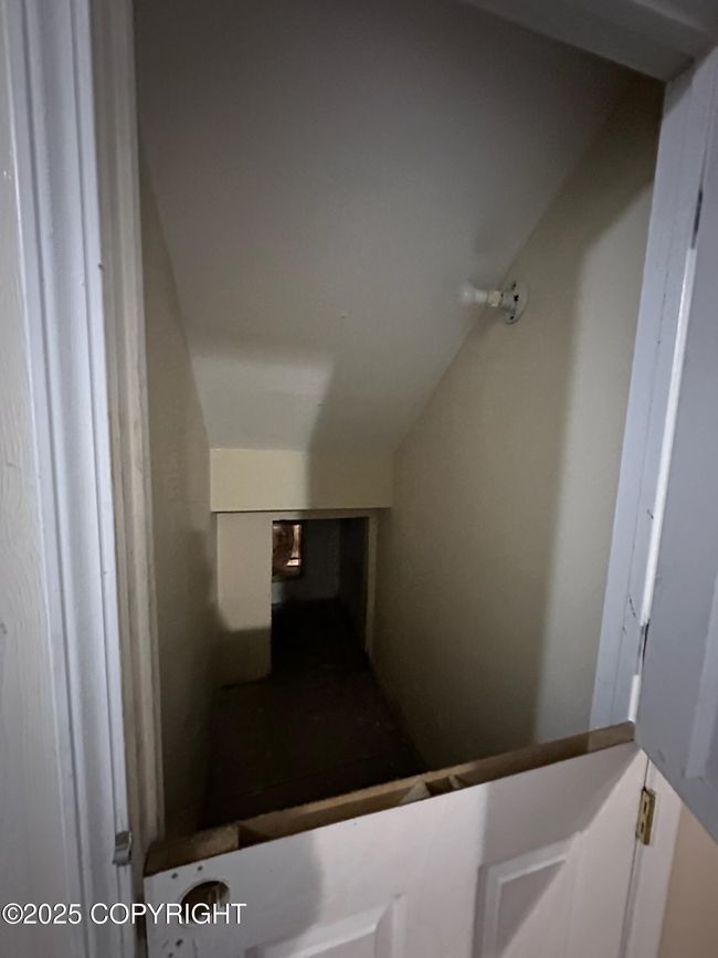 Under stair storage and dog door! | Image 10
