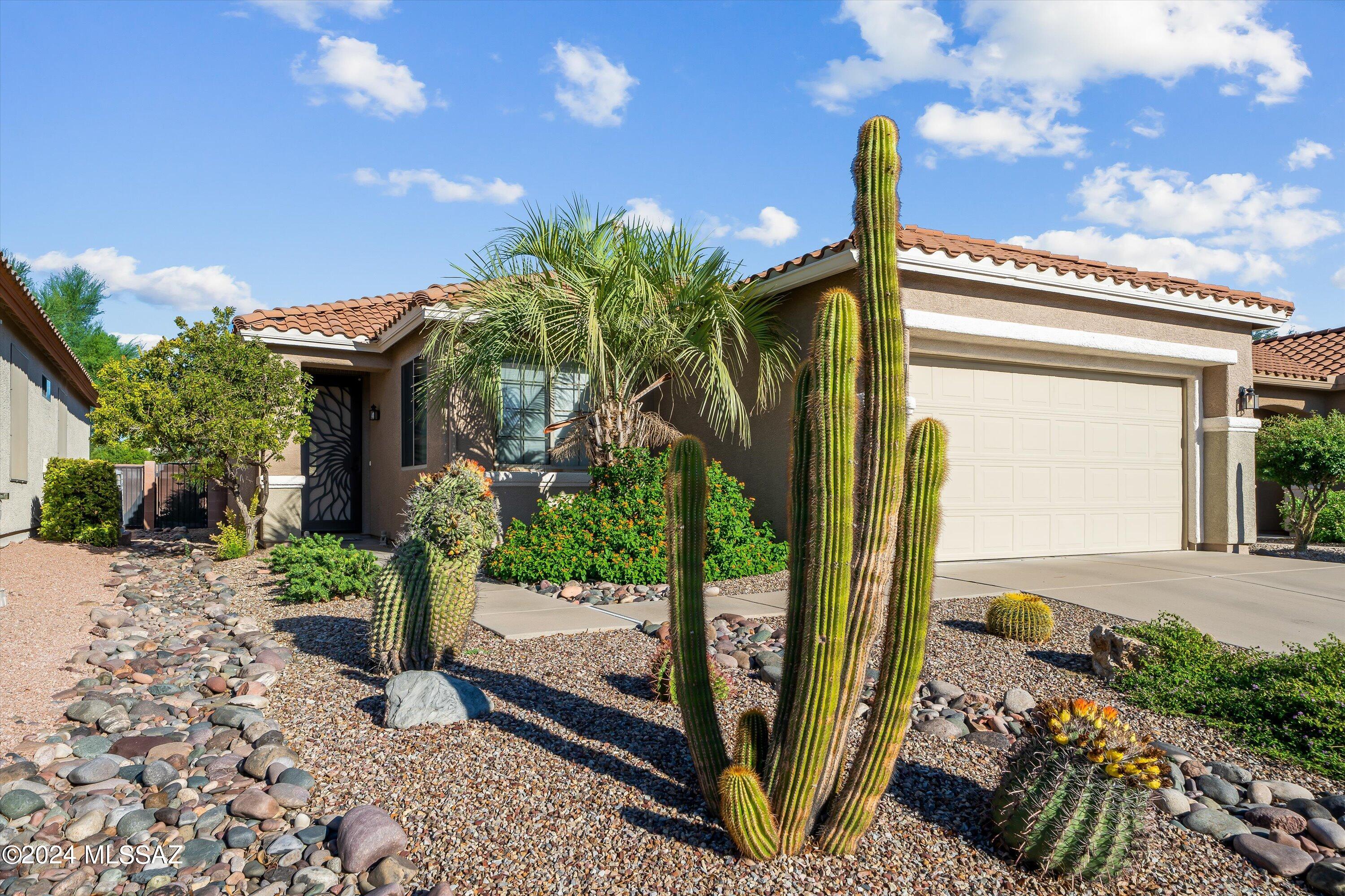 Desert Mist Ln, Tucson, AZ 85743