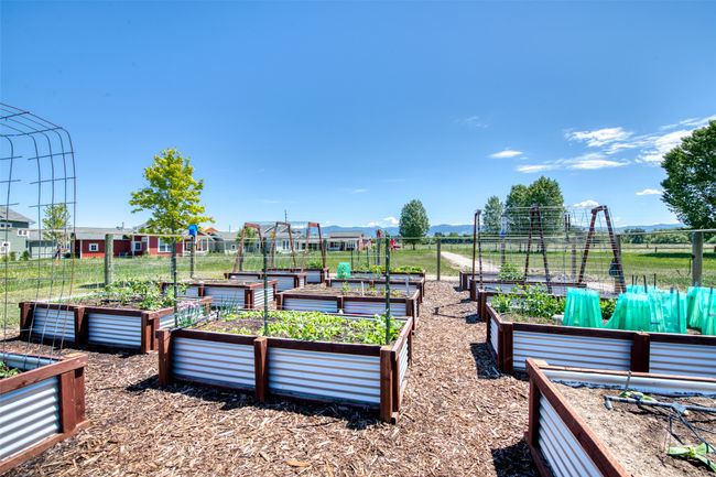Community Garden | Image 57