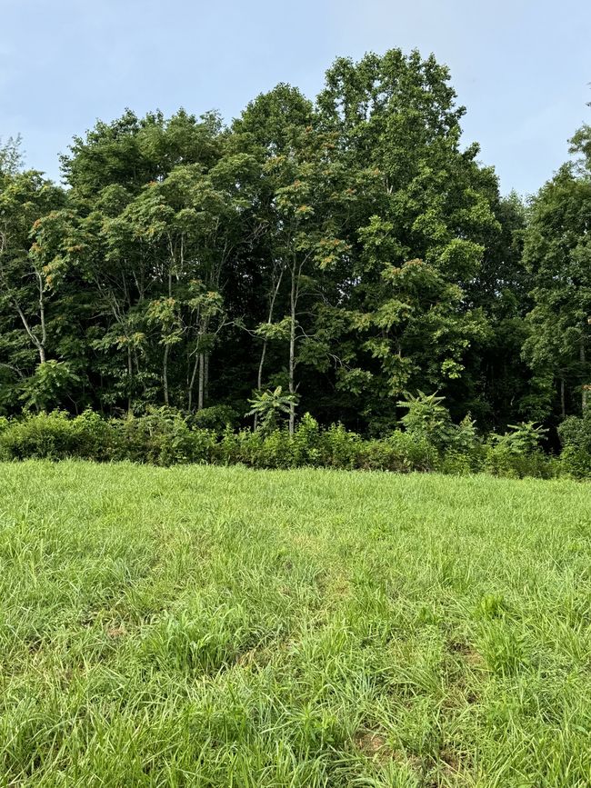 0 Oak Grove Rd, Home with 0 bedrooms, 0 bathrooms and null parking in Red Boiling Springs TN | Image 9
