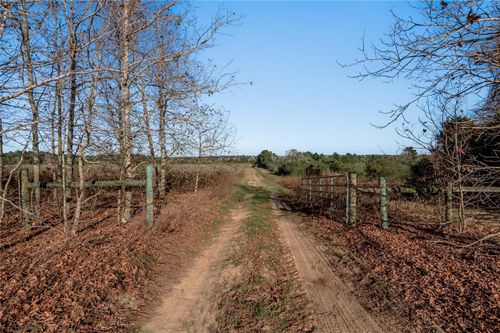 TBD County Road 204, Centerville, TX, 75833 | Card Image