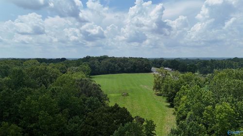 17 acres Snider Rd, Guntersville, AL, 35976 | Card Image