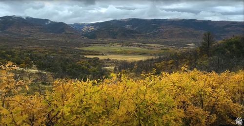 475 Paradise Rd, Fairview, UT, 84629 | Card Image