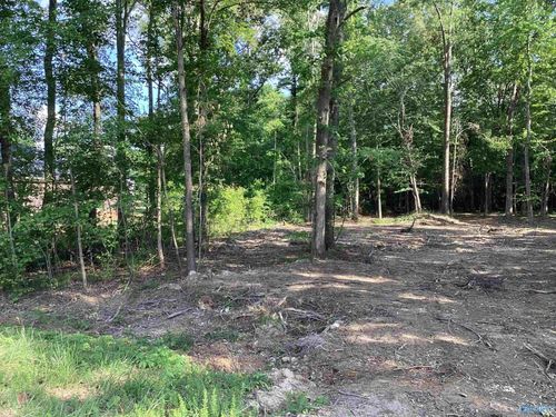 Lot 16 Jessica Dr, Toney, AL, 35773 | Card Image
