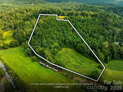 99999 Big Sandy Mush Rd, Leicester, NC, 28748 | Card Image