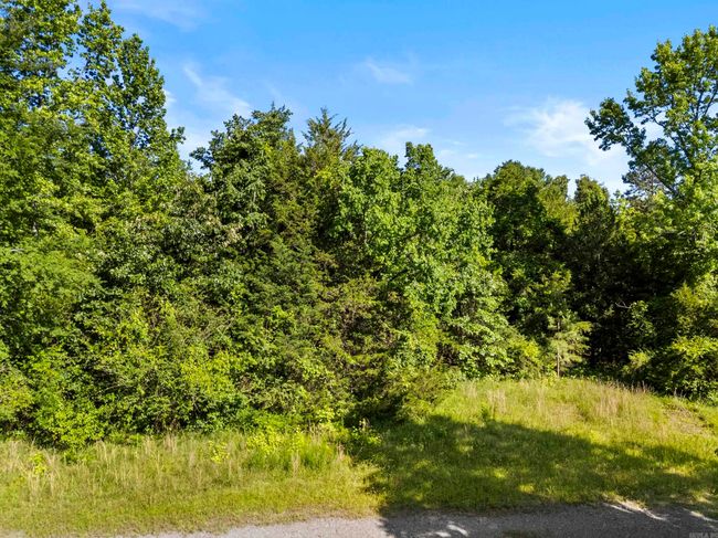 256 Rambo Loop, Home with 0 bedrooms, 0 bathrooms and null parking in Searcy AR | Image 10