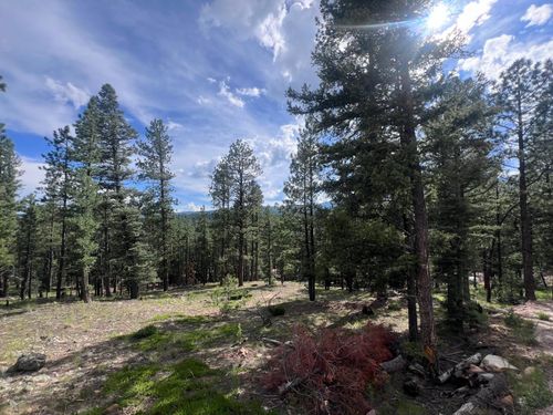 TBD Road 9, Eagle Nest, NM, 87718 | Card Image