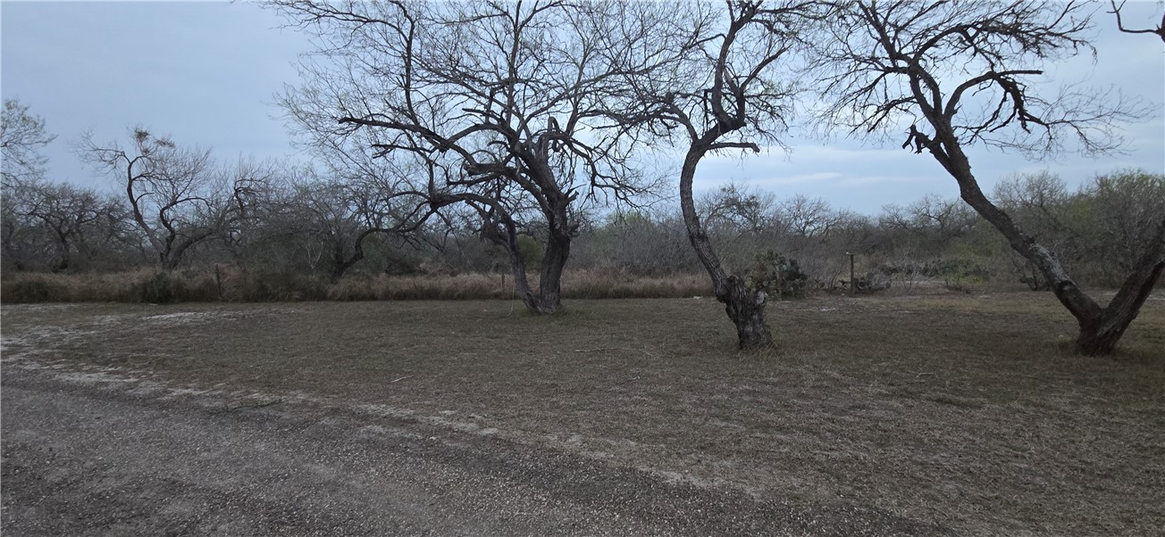 Residential in Sinton 5