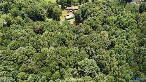 22 acres Gandys Cove Rd, Falkville, AL, 35622 | Card Image