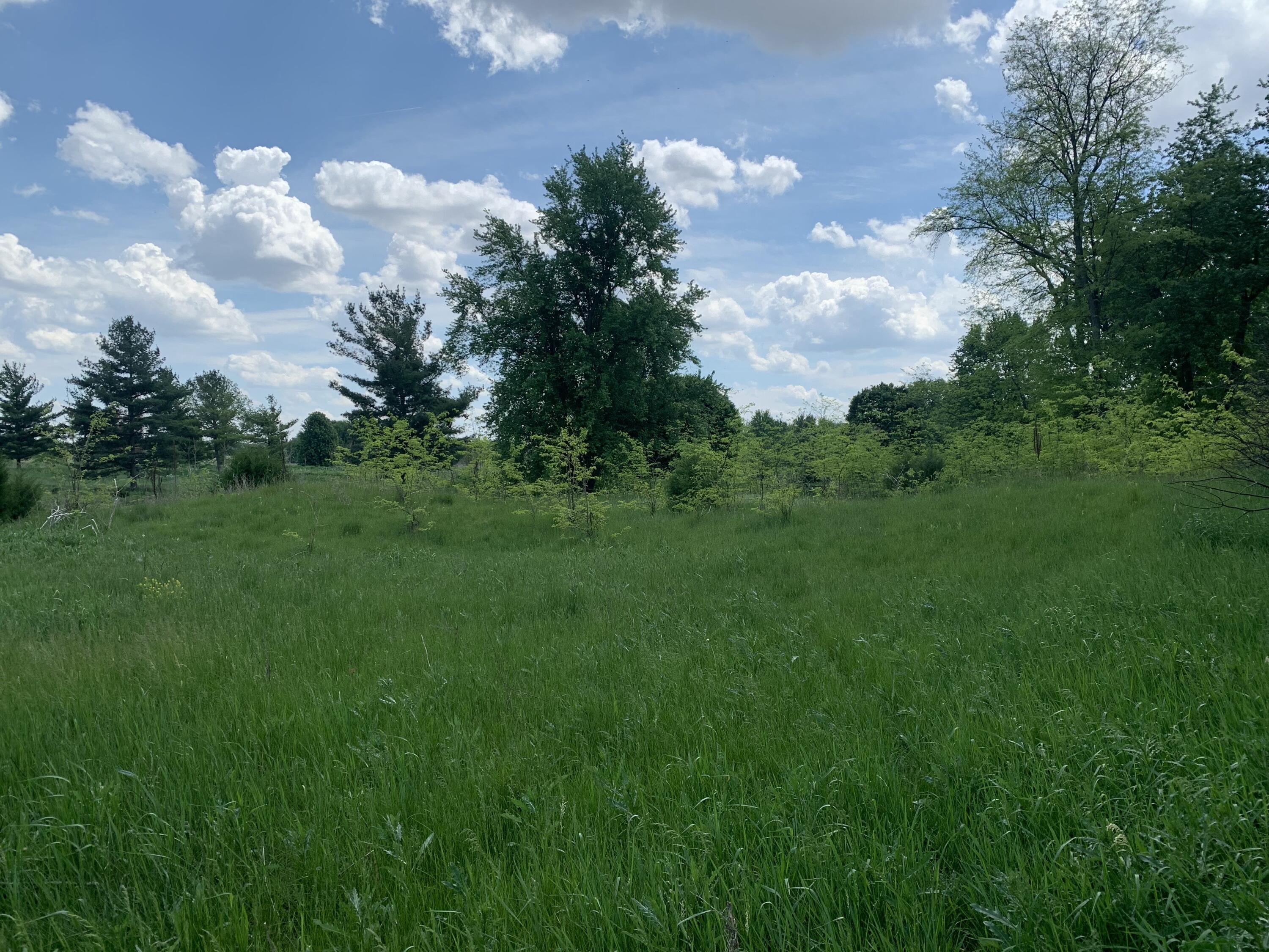 Land in Bronson 5