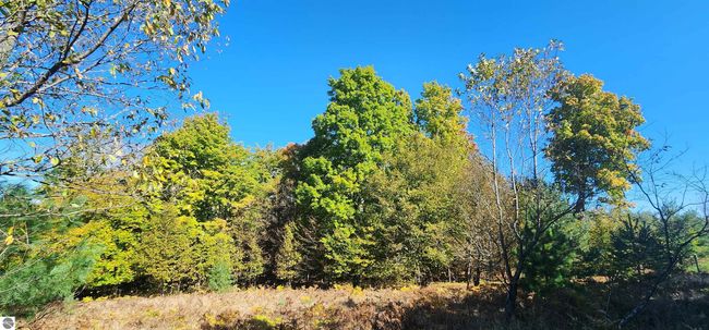 40 Acres Truesdale Road, Home with 0 bedrooms, 0 bathrooms and null parking in Manton MI | Image 9