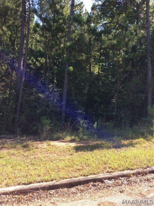 0000 Macon Dr, Tuskegee, AL, 36083 | Card Image