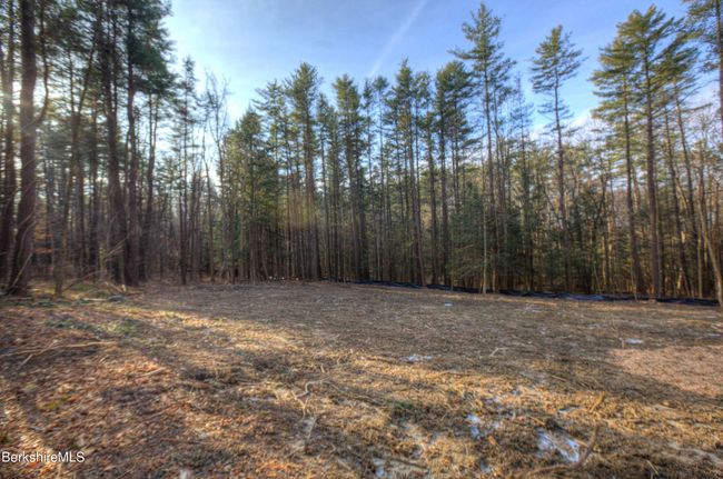 13 Rattlesnake Mtn Rd, Home with 0 bedrooms, 0 bathrooms and null parking in Stockbridge MA | Image 17