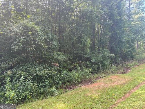 0 Chappell Mill Rd, Milner, GA, 30257 | Card Image