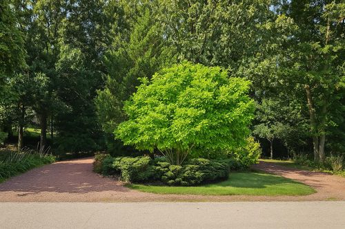 1518 Waterford Dr, Waterford, WI, 53185 | Card Image