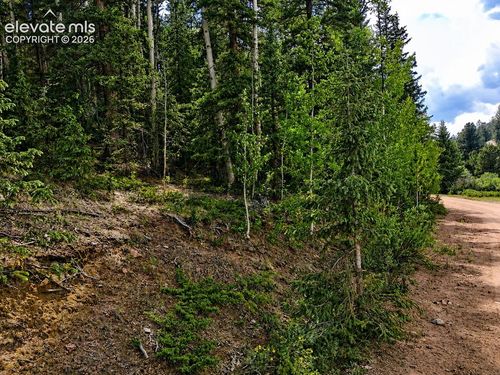 2462 Anges Dr, Cripple Creek, CO, 80813 | Card Image