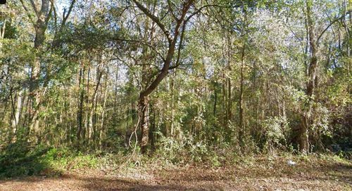 0 Moccasin Gap Rd, TALLAHASSEE, FL, 32309 | Card Image