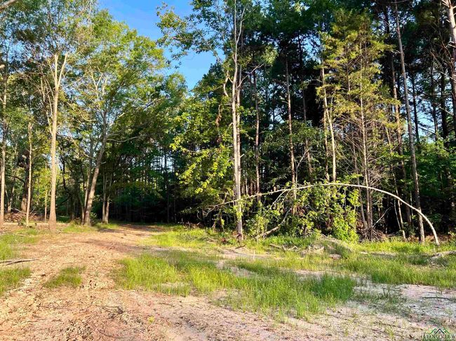 2735 Brandy Rd, Home with 0 bedrooms, 0 bathrooms and null parking in New Diana TX | Image 13