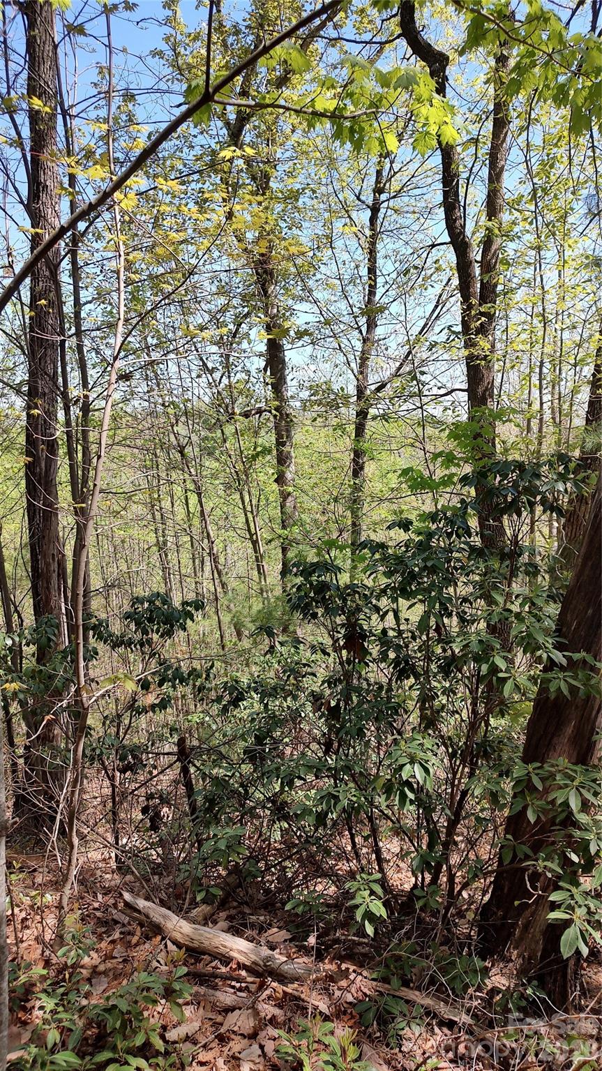 Land in Purlear 4
