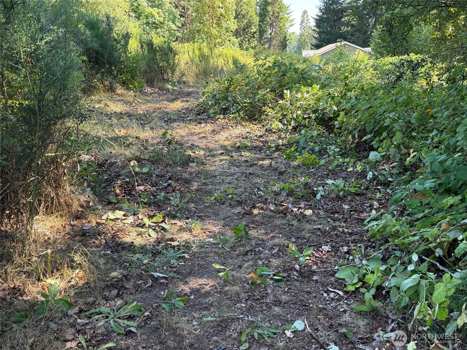 Land in Gig Harbor 4