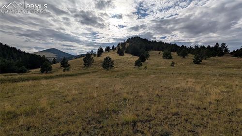 842 Monarch Dr, Cripple Creek, CO, 80813 | Card Image