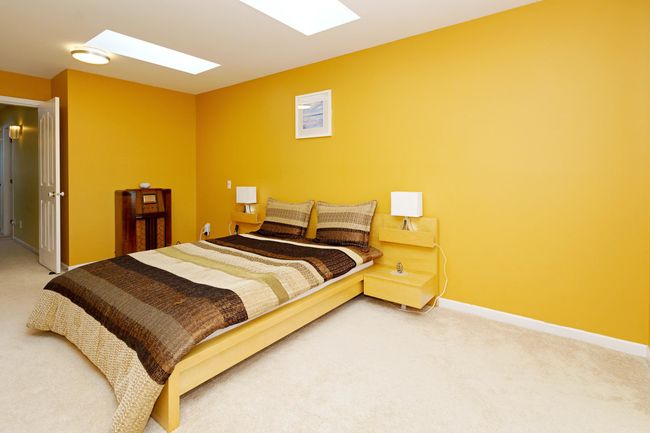 Bedroom featuring a skylight, carpet floors, and baseboards | Image 17