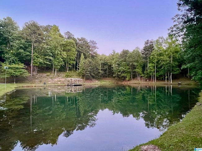 2307 Highway 331, House other with 3 bedrooms, 3 bathrooms and null parking in Columbiana AL | Image 60