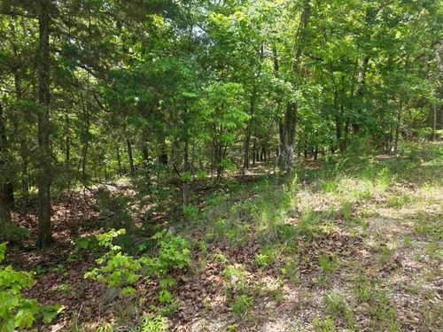 L-39, B-4 Topez Drive, Cherokee Village, AR, 72529 | Card Image